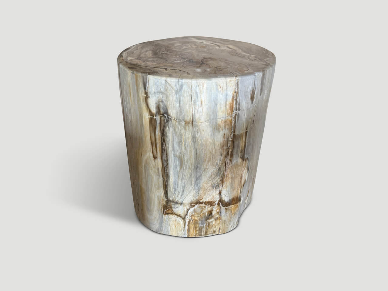 ancient high quality petrified wood side table