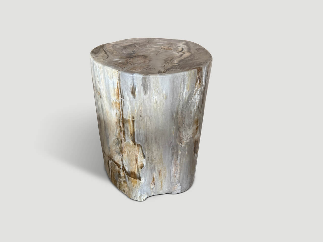 ancient high quality petrified wood side table