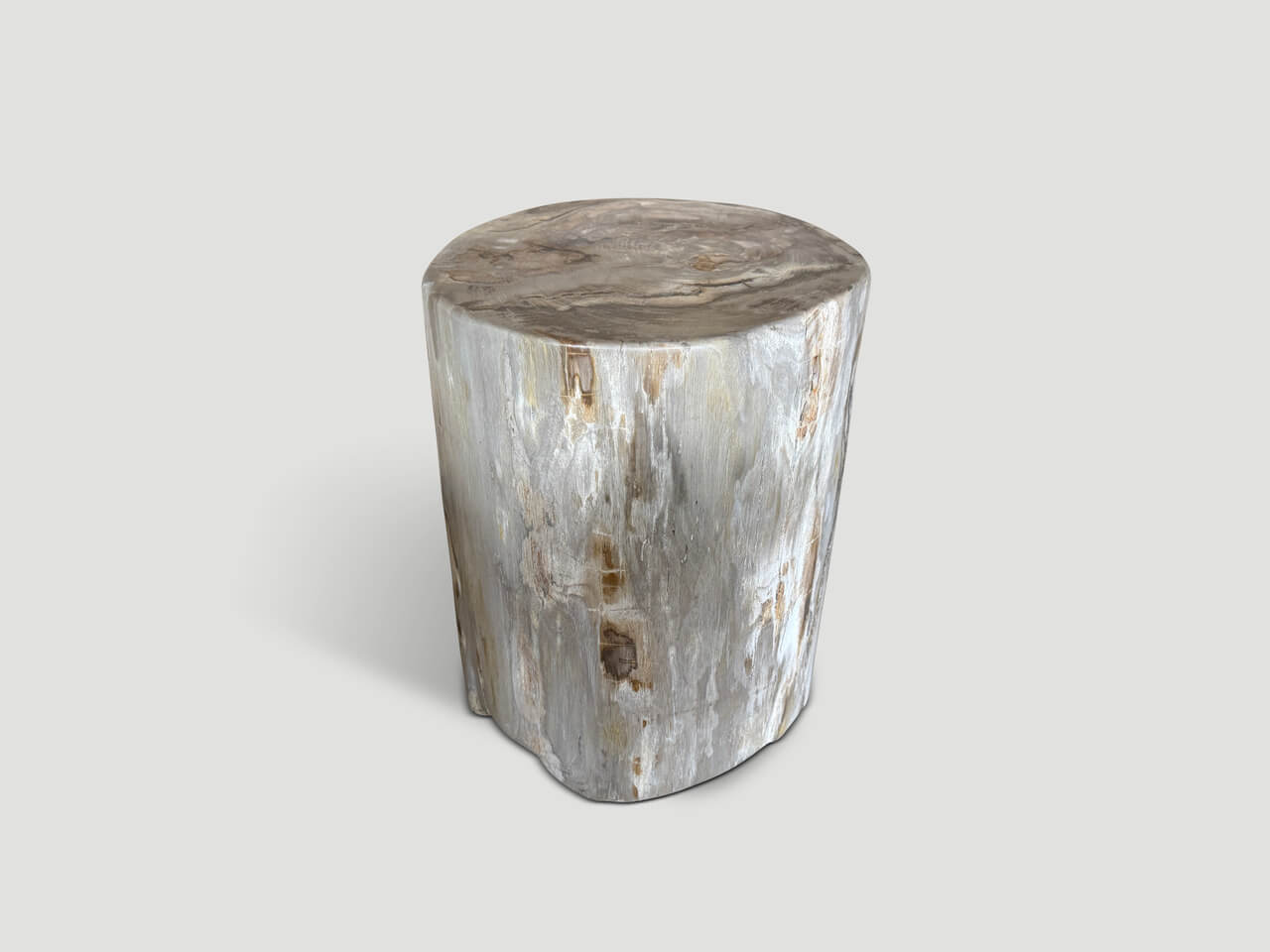 ancient high quality petrified wood side table