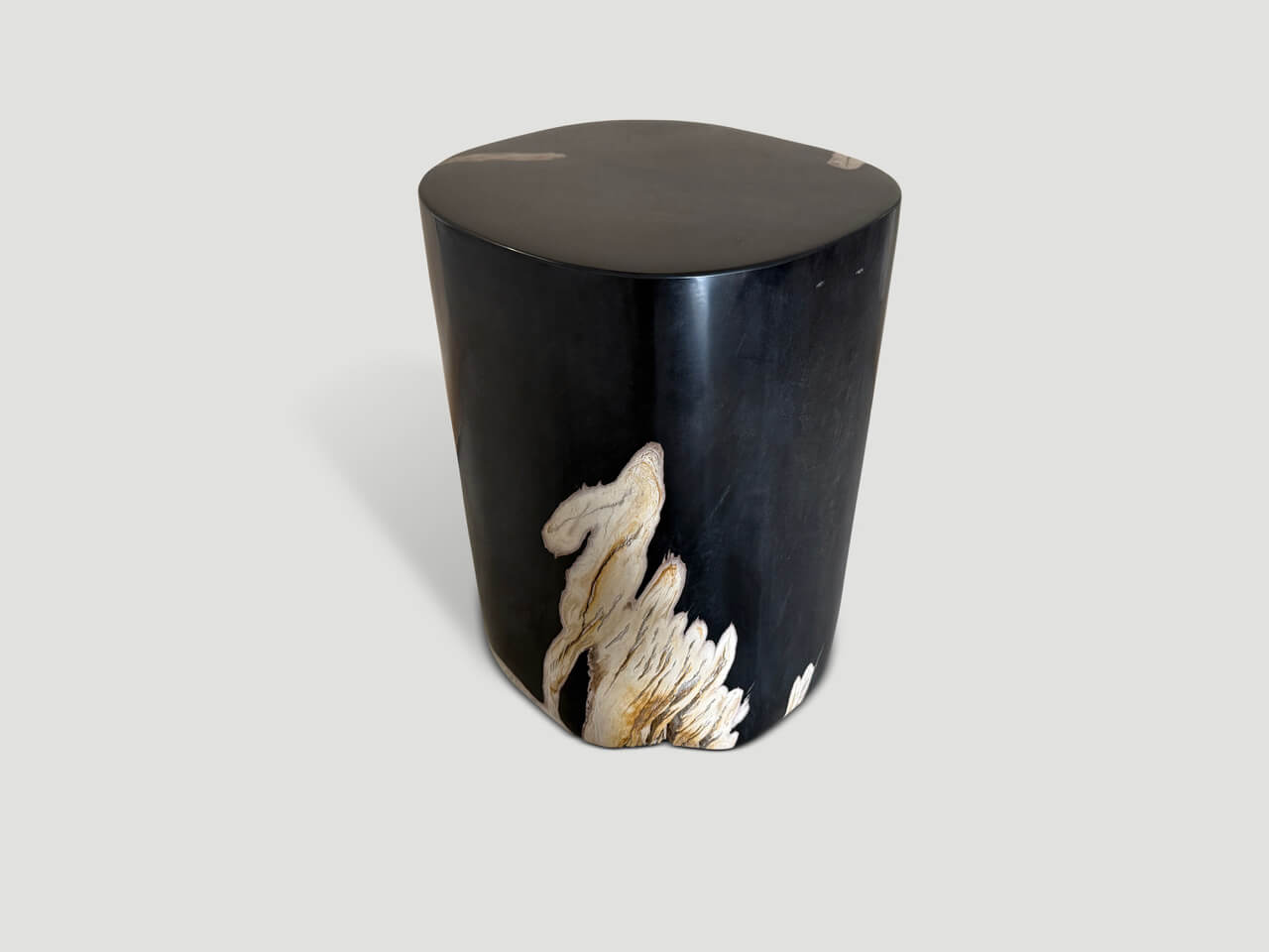 petrified wood side table