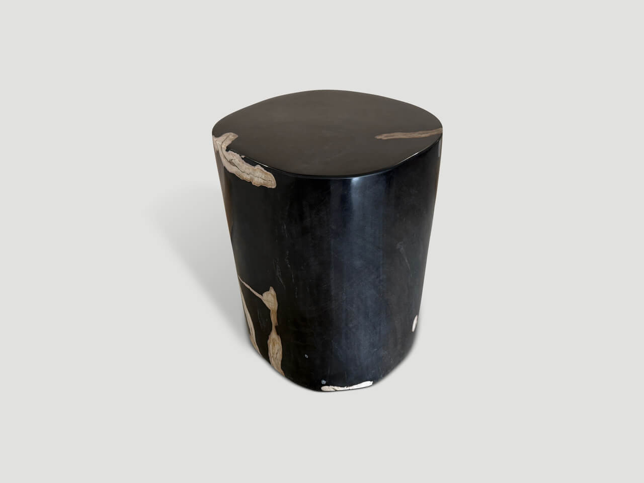 petrified wood side table