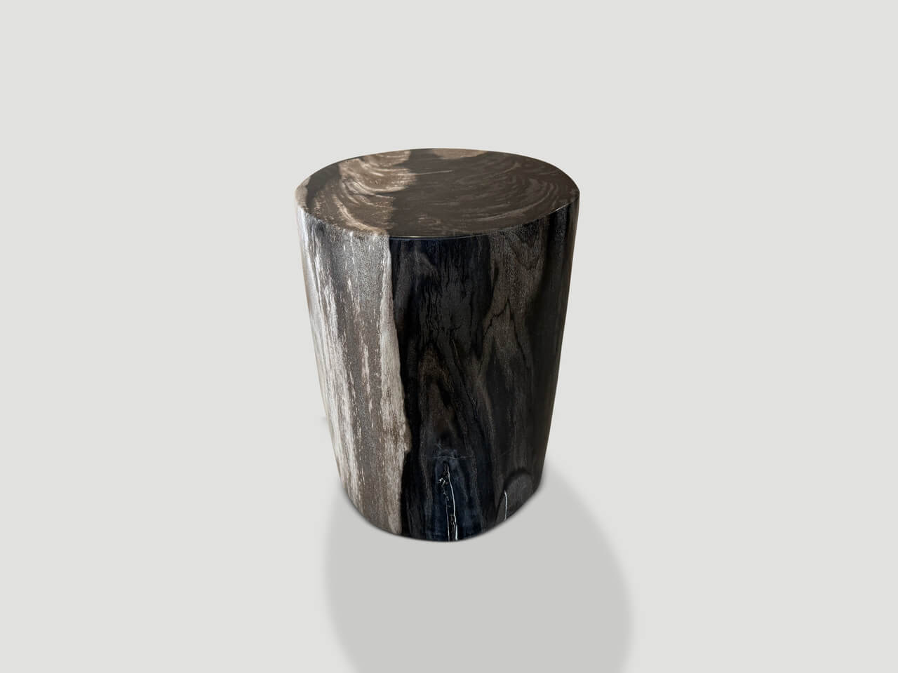 modern organic super smooth petrified wood side table