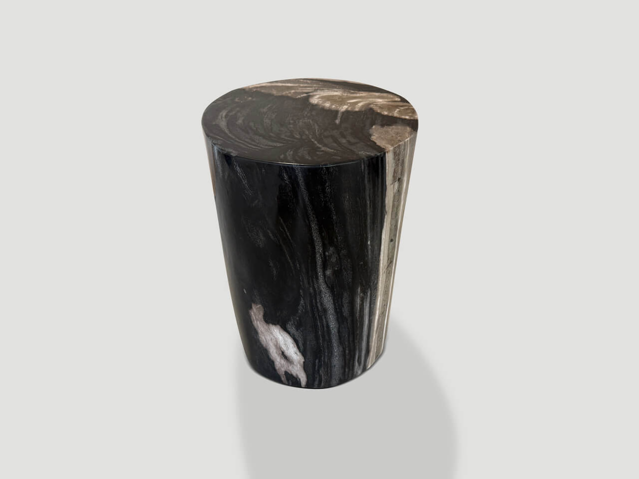 modern organic super smooth petrified wood side table