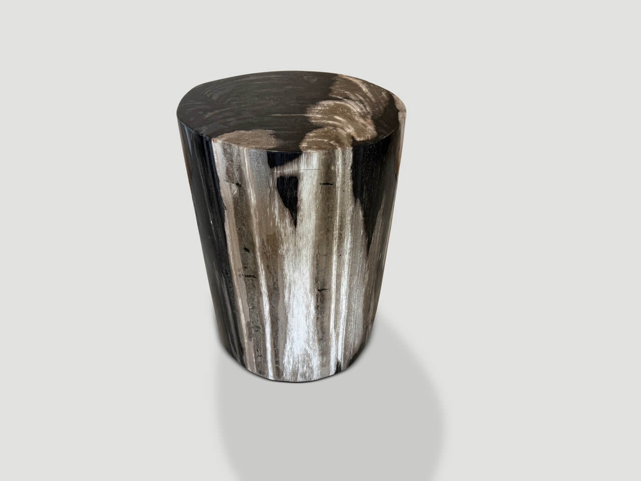 modern organic super smooth petrified wood side table