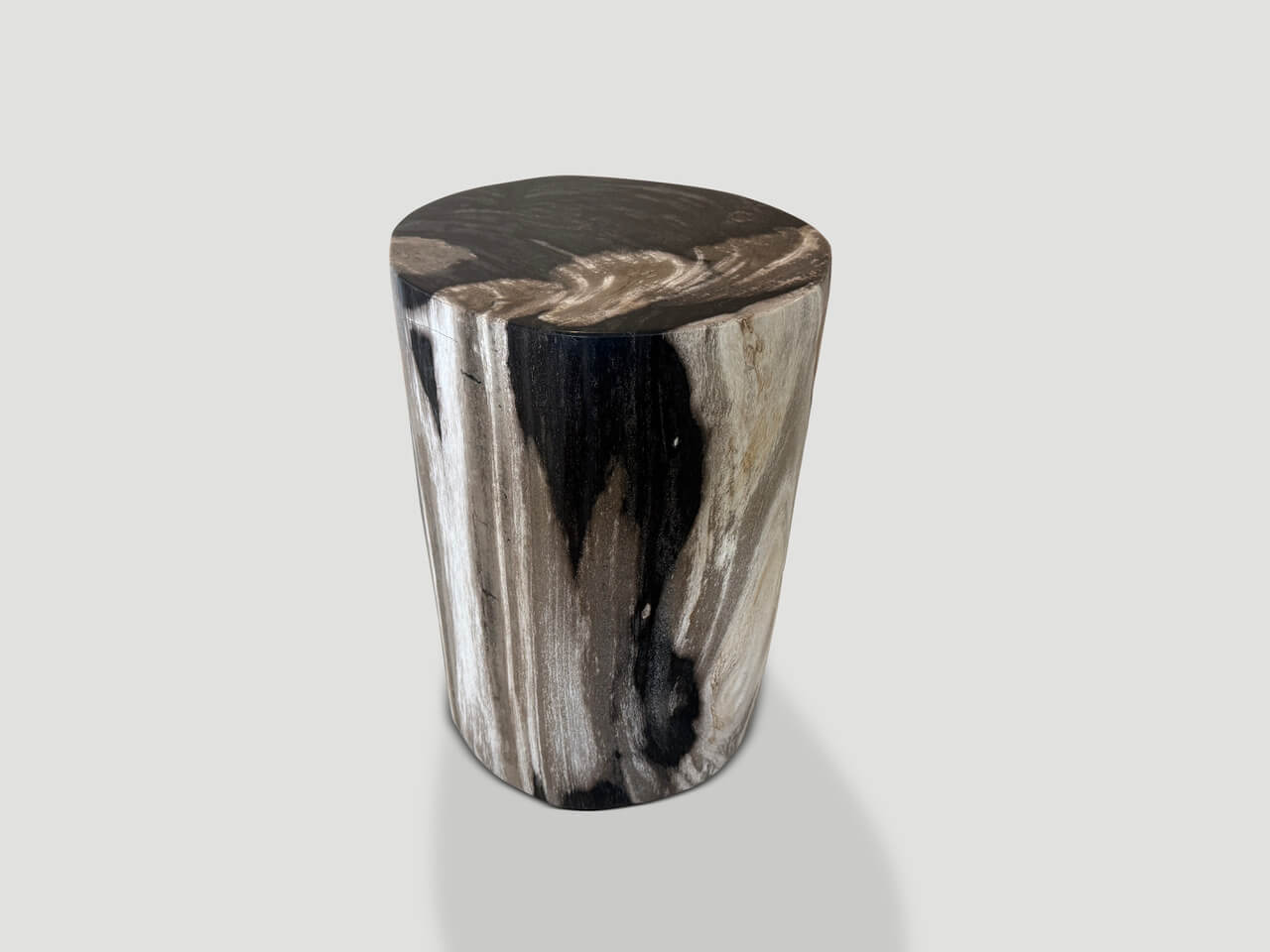 modern organic super smooth petrified wood side table