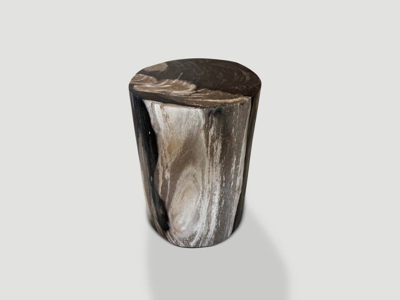 modern organic super smooth petrified wood side table