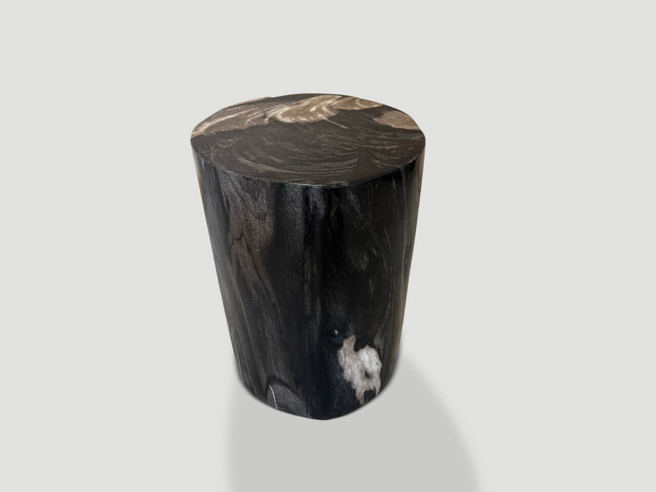 modern organic super smooth petrified wood side table
