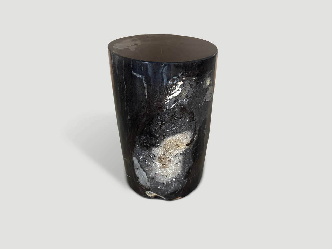 petrified wood side table