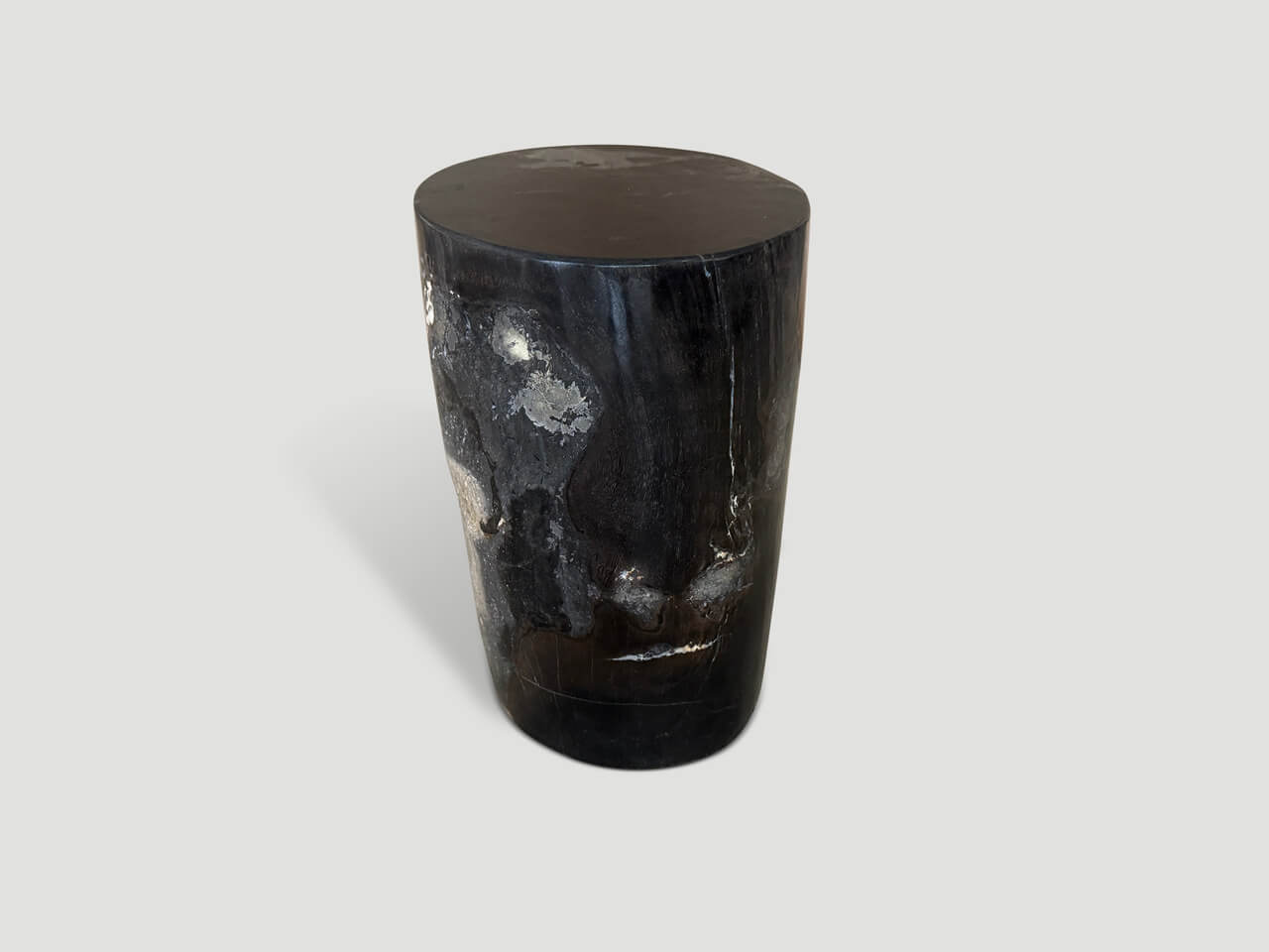 petrified wood side table