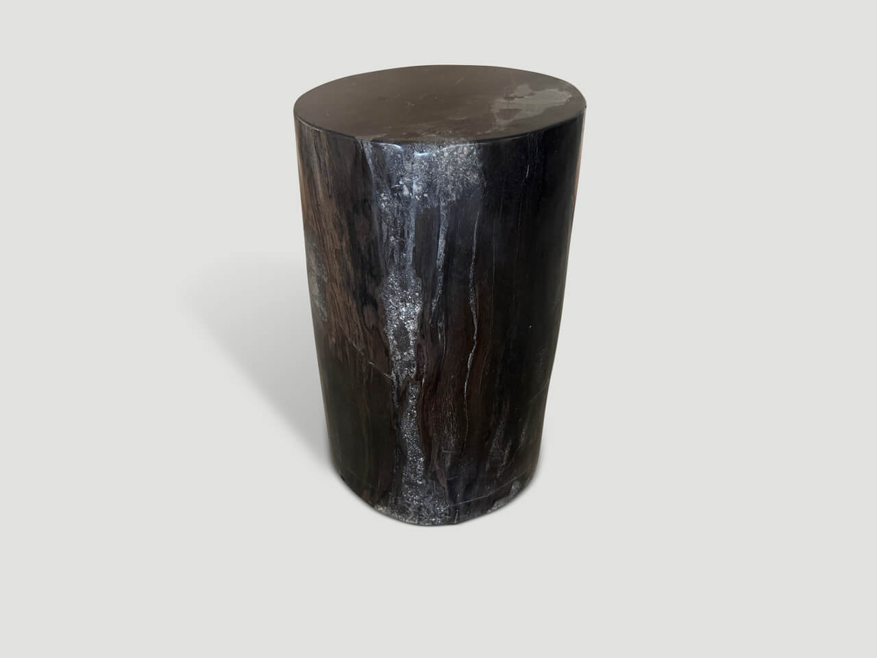 petrified wood side table