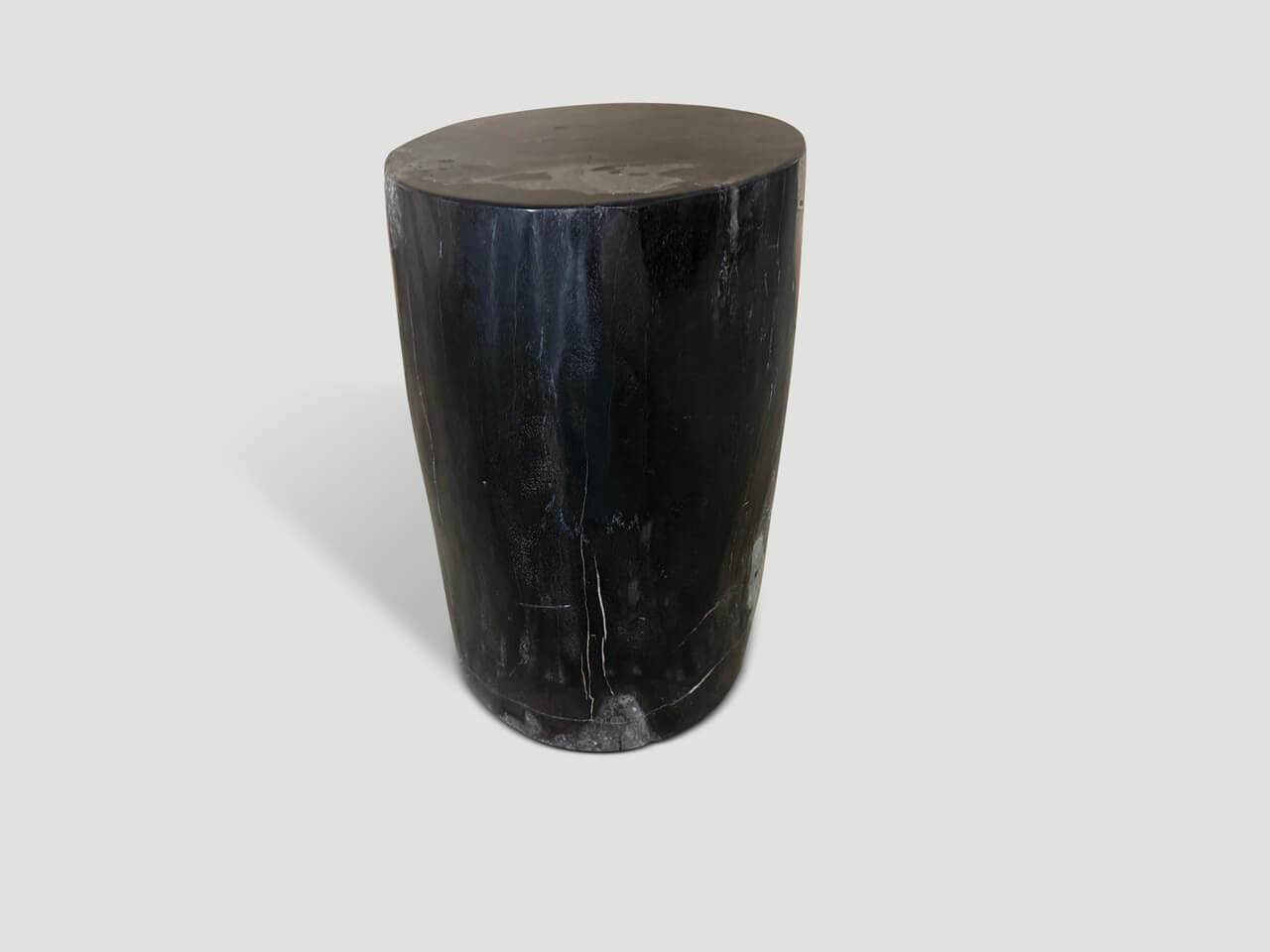 petrified wood side table