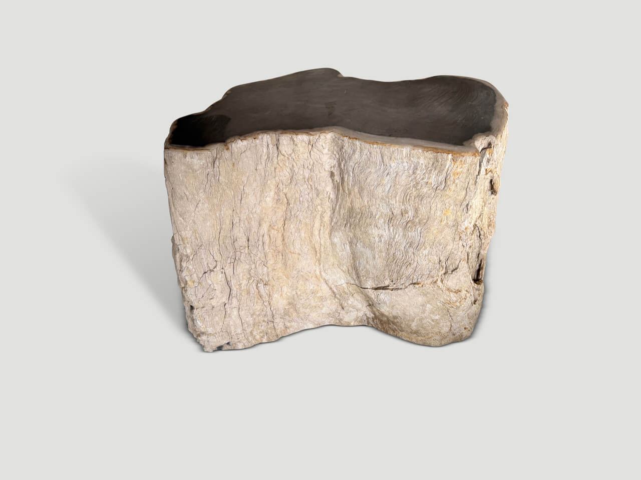 ancient petrified wood side table