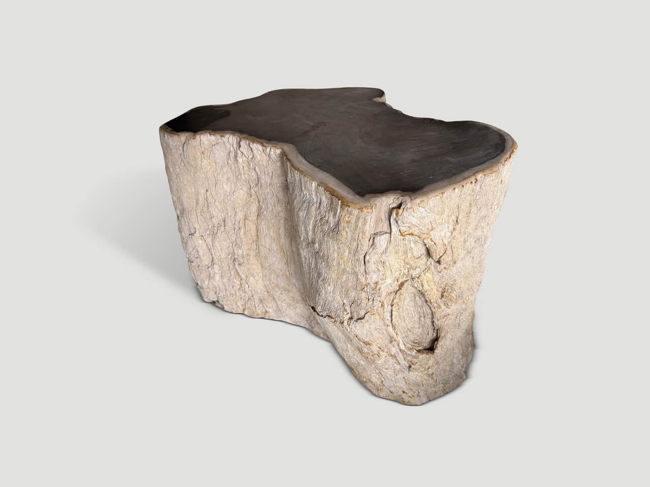 ancient petrified wood side table