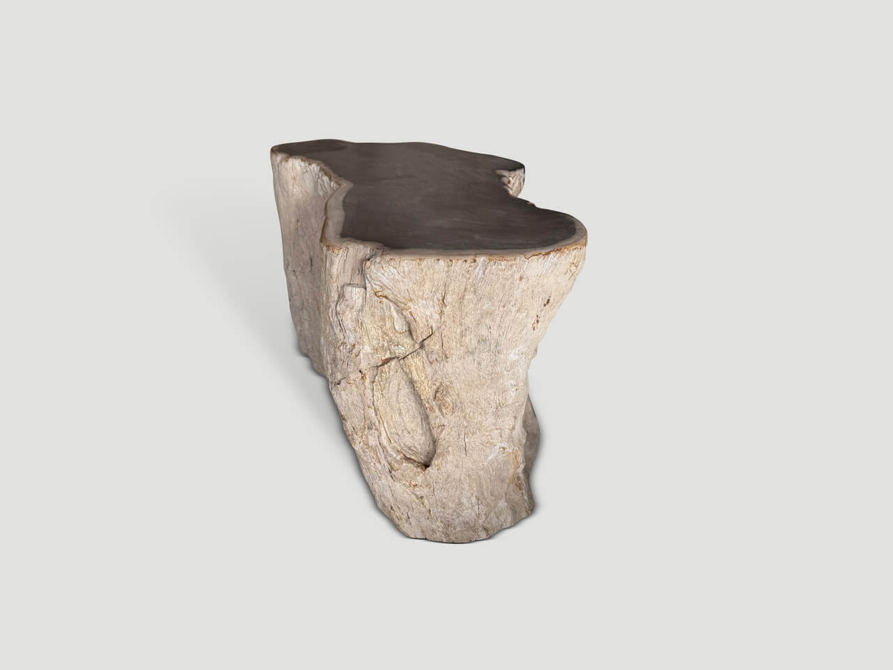 ancient petrified wood side table