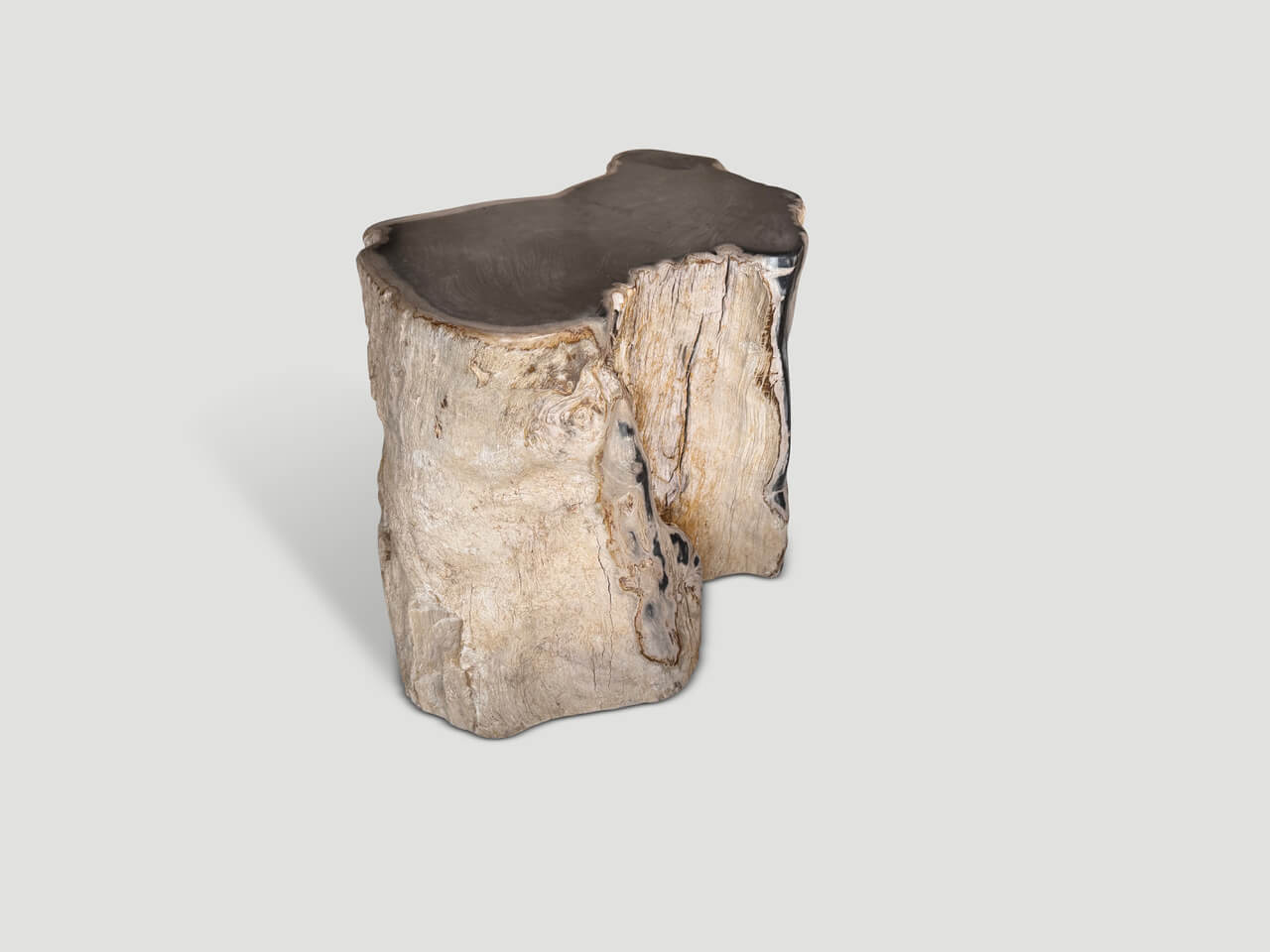 ancient petrified wood side table