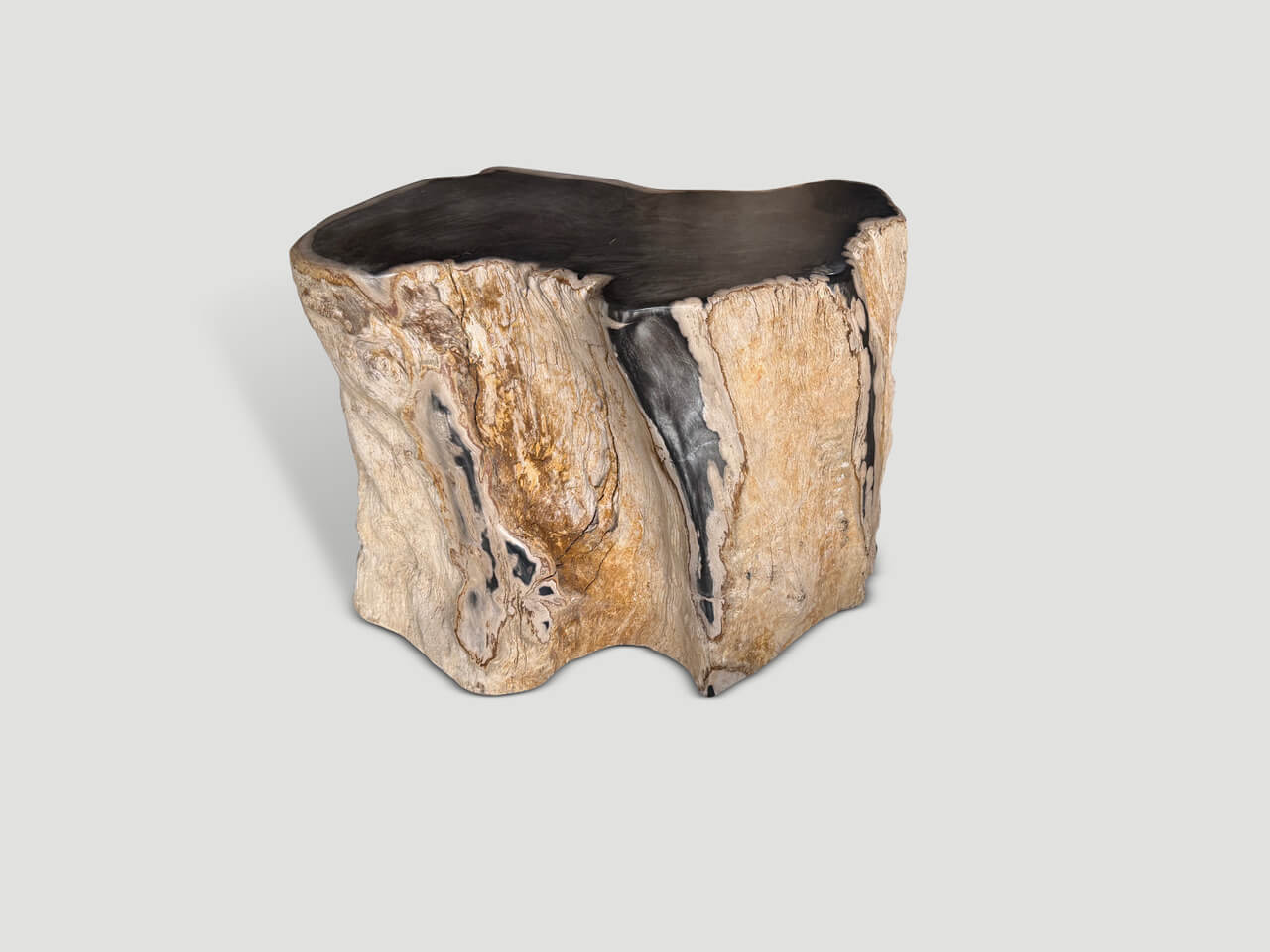ancient petrified wood side table