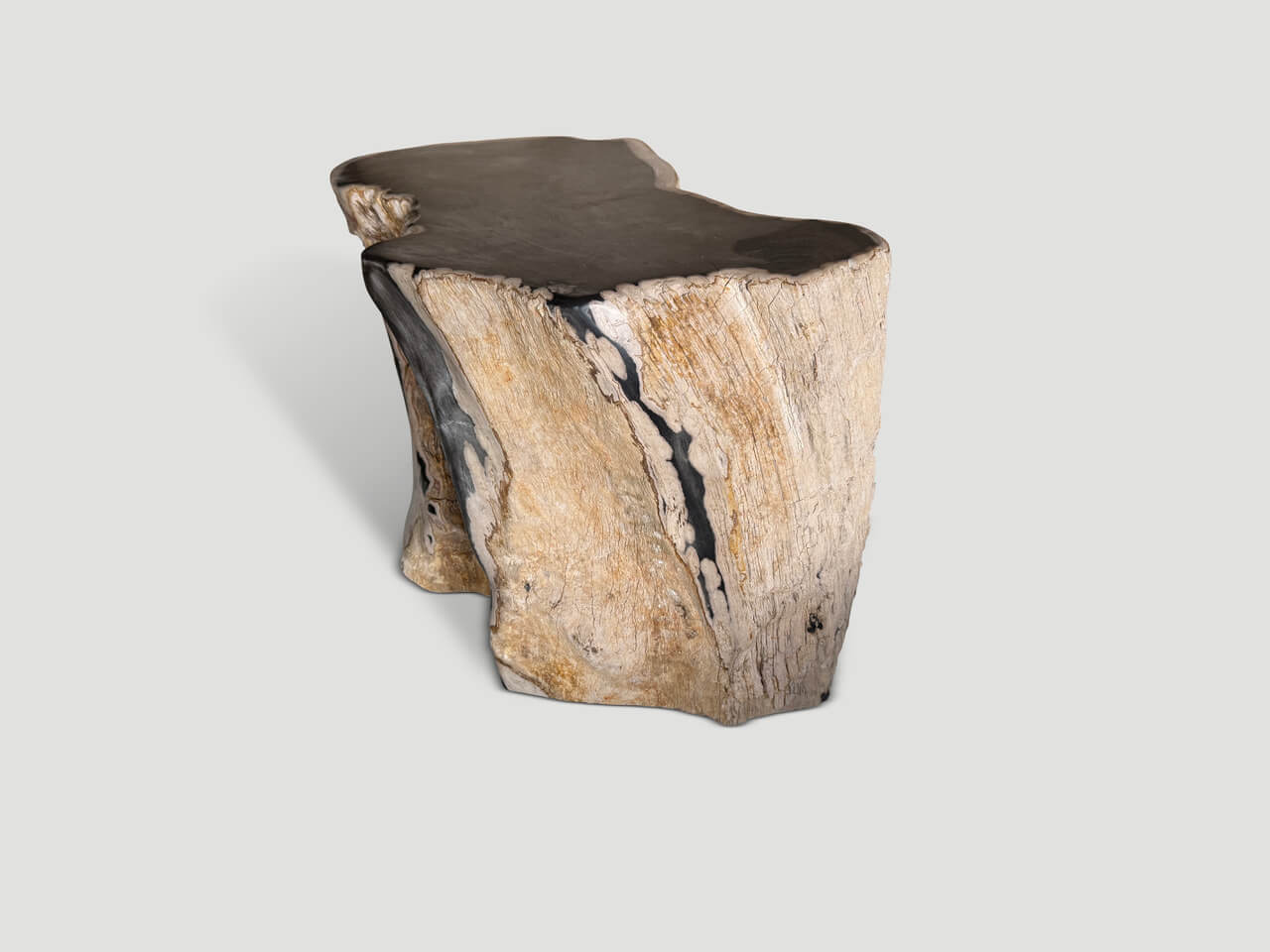 ancient petrified wood side table