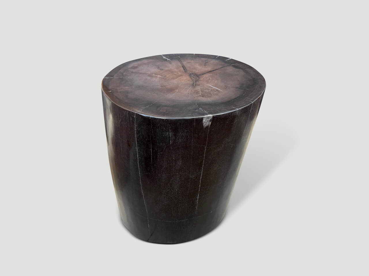 SUPER SMOOTH PETRIFIED WOOD SIDE TABLE OR PEDESTAL