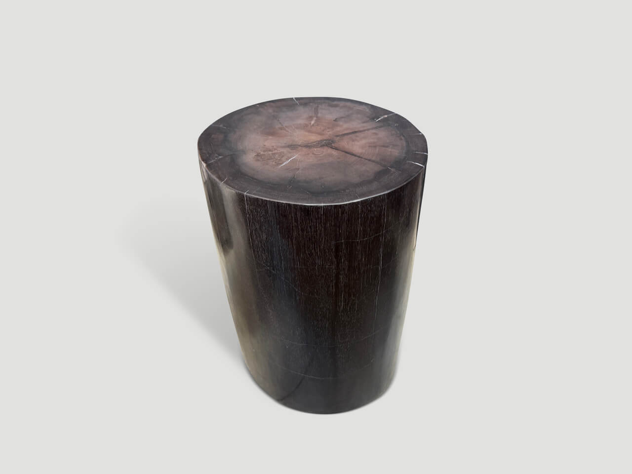 SUPER SMOOTH PETRIFIED WOOD SIDE TABLE OR PEDESTAL