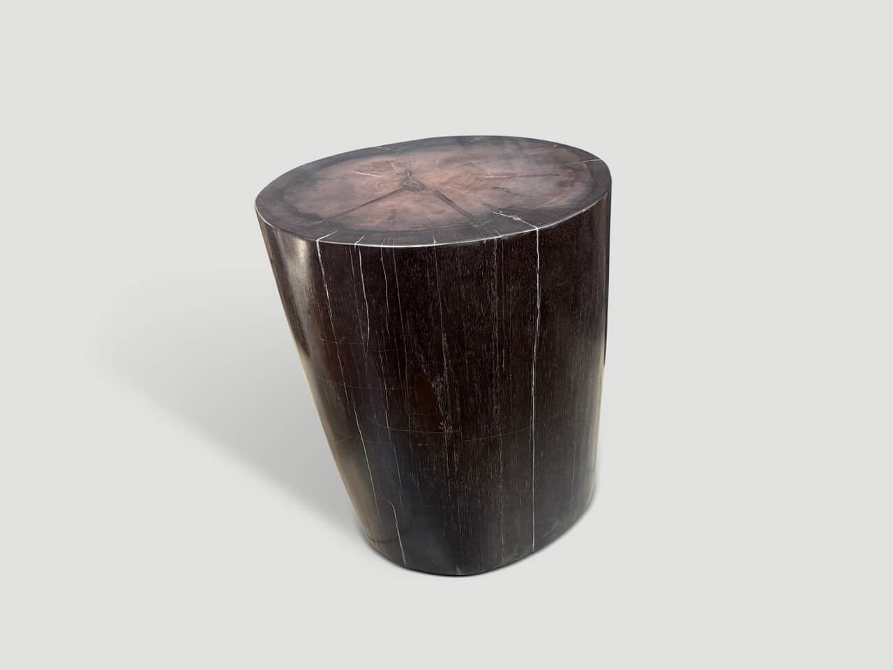SUPER SMOOTH PETRIFIED WOOD SIDE TABLE OR PEDESTAL