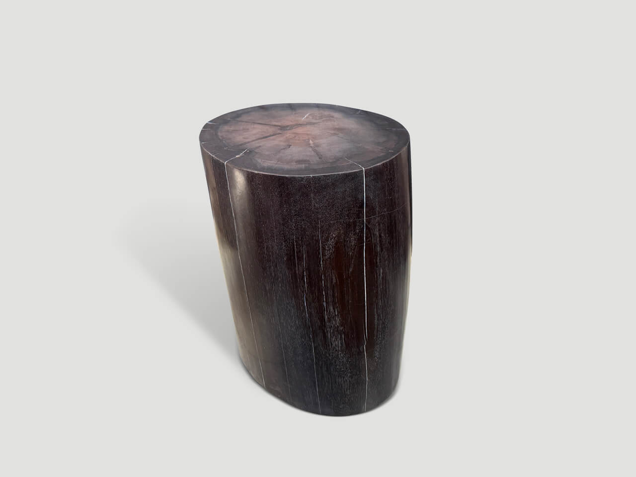SUPER SMOOTH PETRIFIED WOOD SIDE TABLE OR PEDESTAL