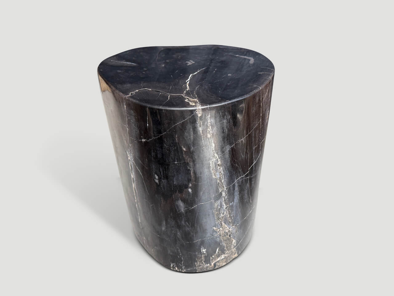 ANCIENT PETRIFIED WOOD SIDE TABLE