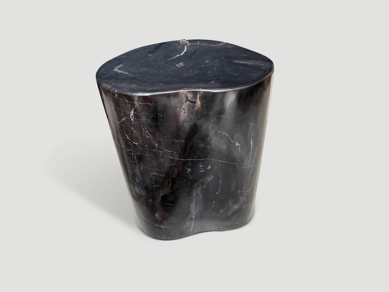 ANCIENT PETRIFIED WOOD SIDE TABLE