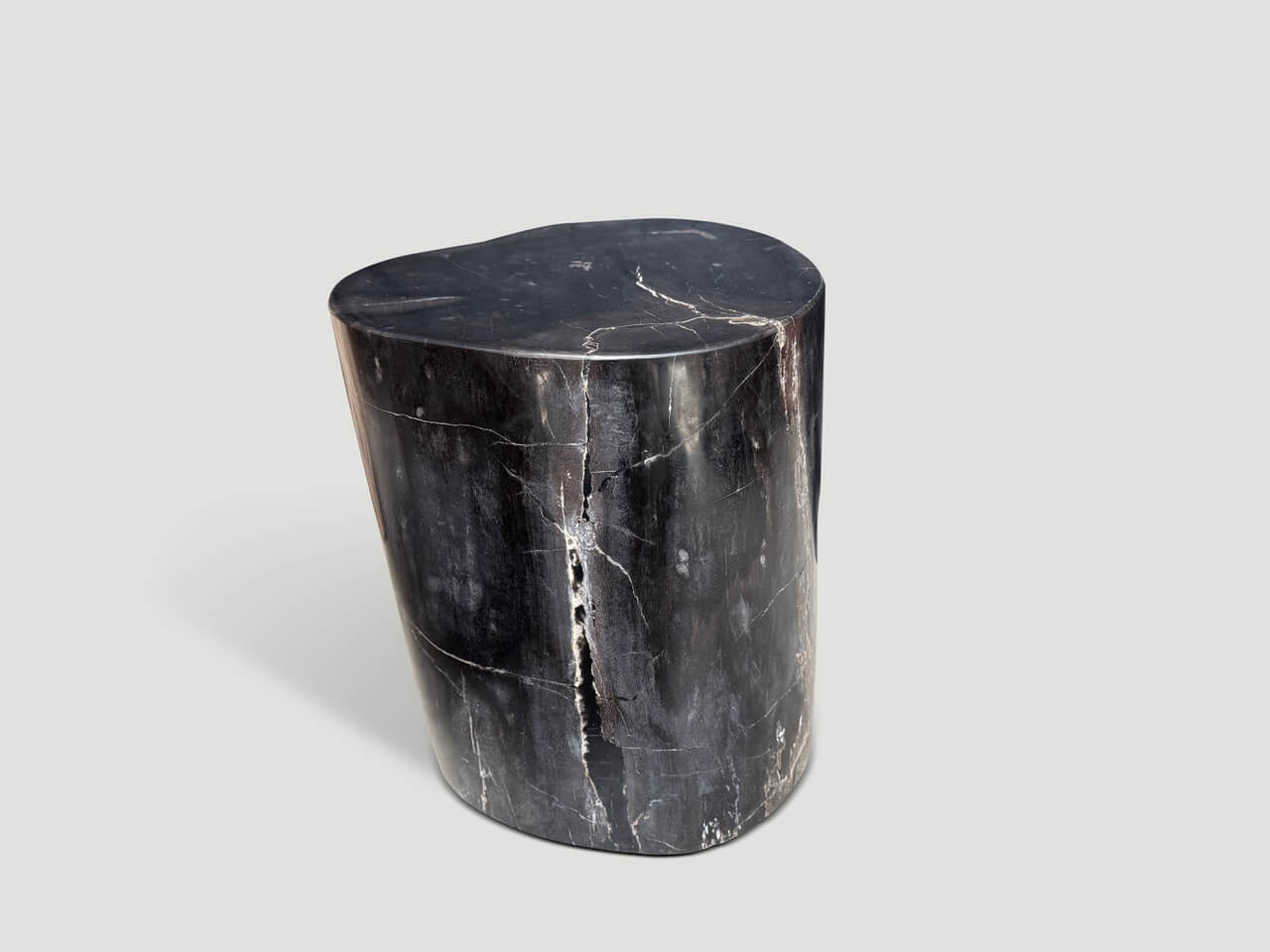 ANCIENT PETRIFIED WOOD SIDE TABLE