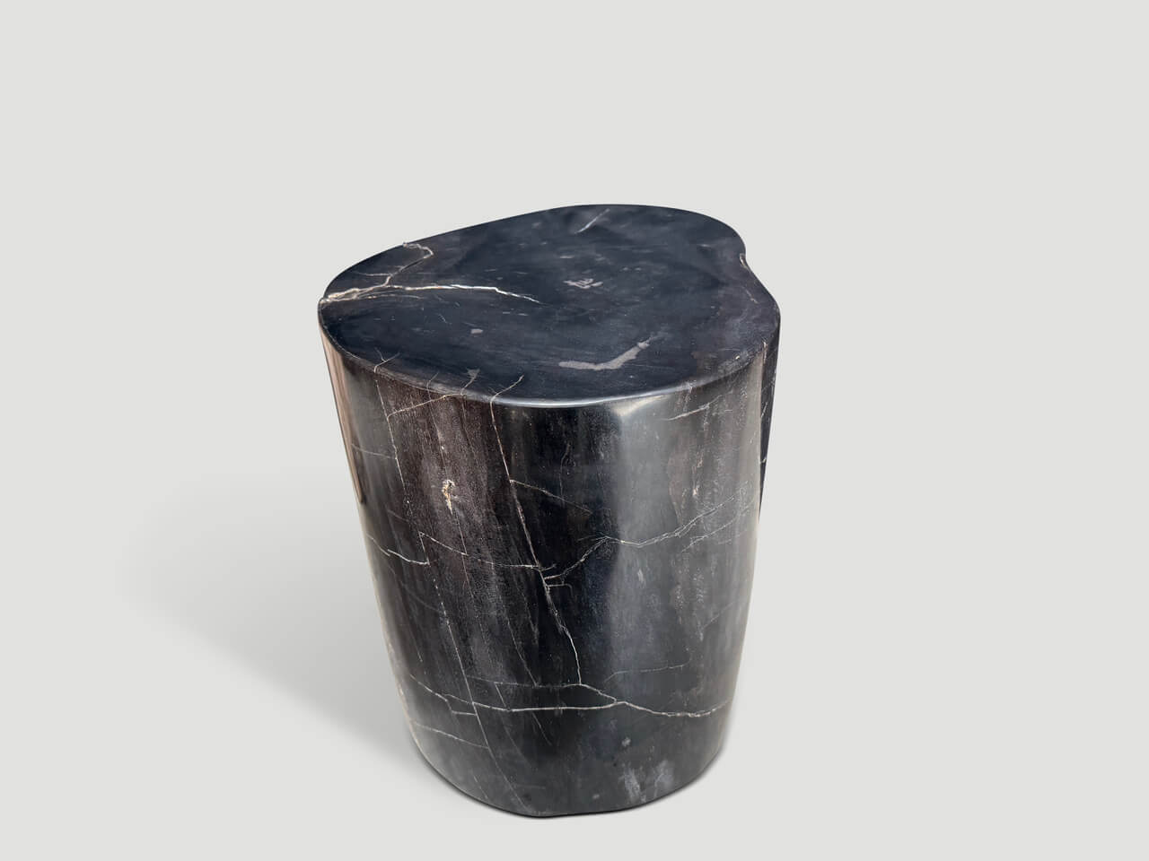 ANCIENT PETRIFIED WOOD SIDE TABLE