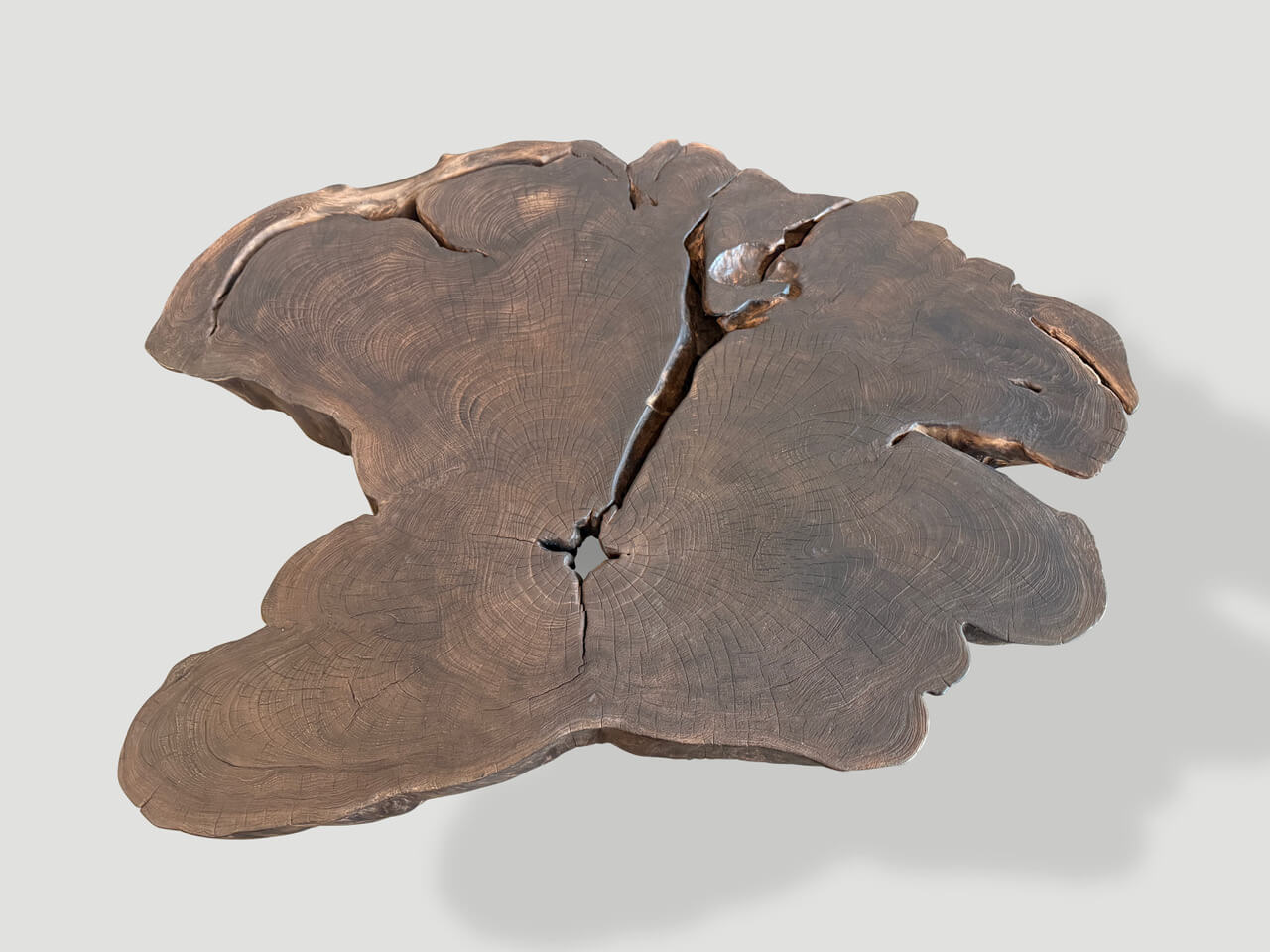 SCULPTURAL SINGLE CHARRED MODERN ORGANIC COFFEE TABLE