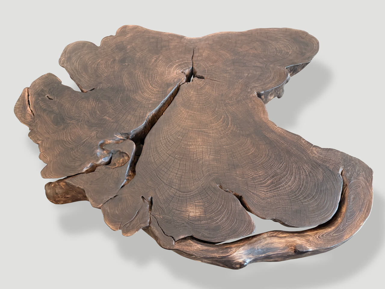 SCULPTURAL SINGLE CHARRED MODERN ORGANIC COFFEE TABLE