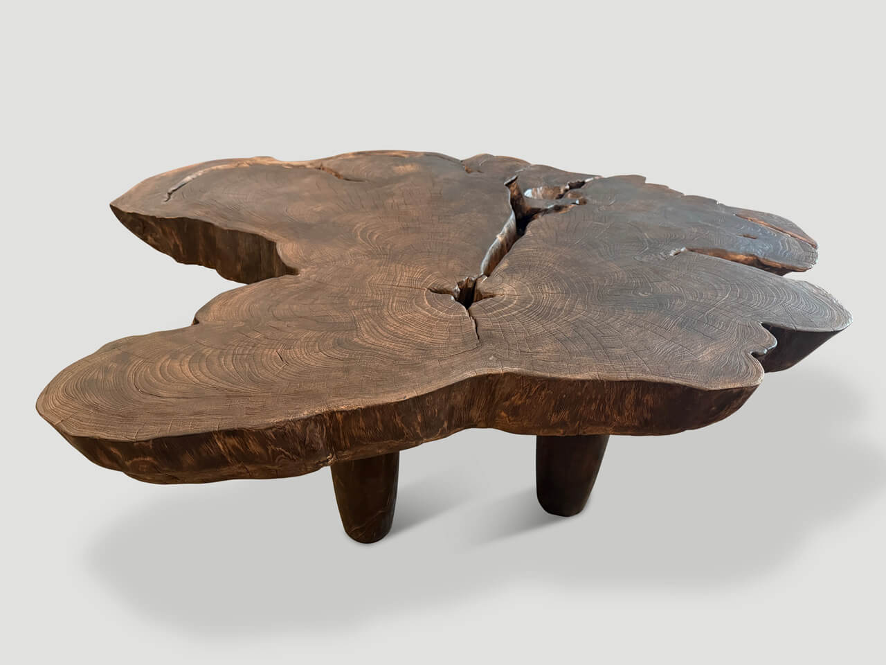 SCULPTURAL SINGLE CHARRED MODERN ORGANIC COFFEE TABLE