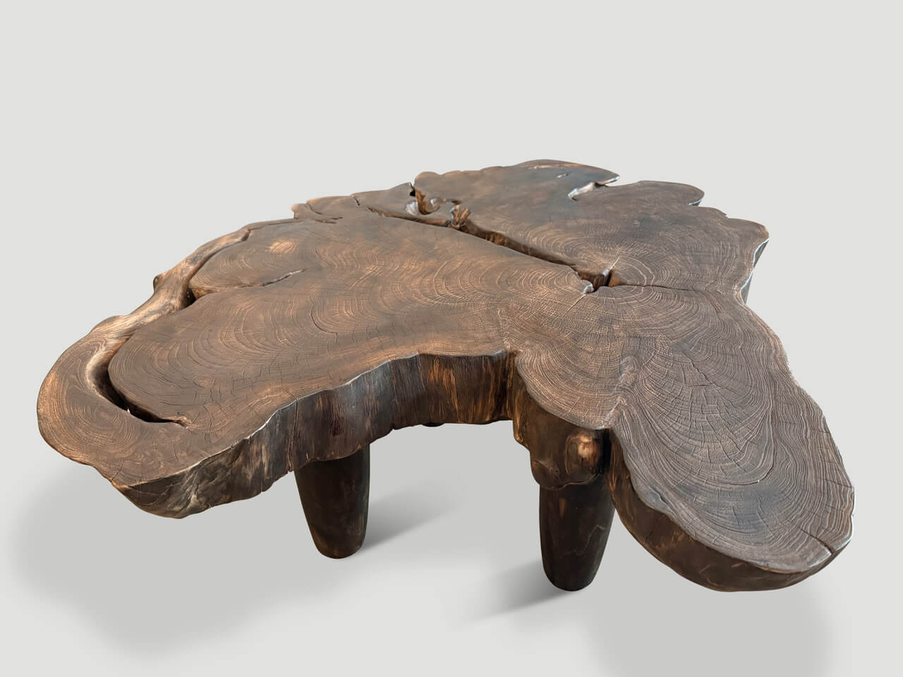 SCULPTURAL SINGLE CHARRED MODERN ORGANIC COFFEE TABLE