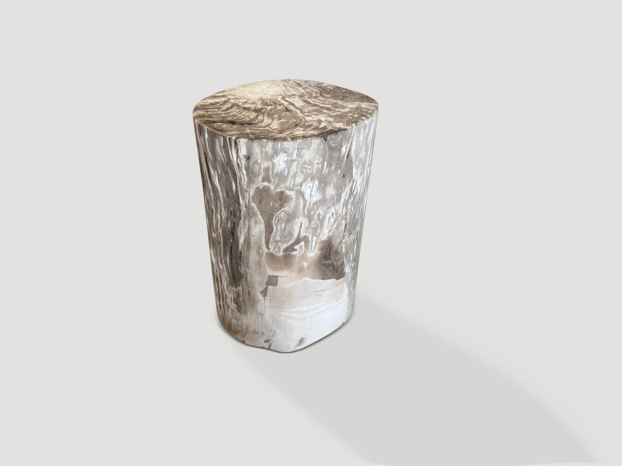 ANCIENT PETRIFIED WOOD SIDE TABLE