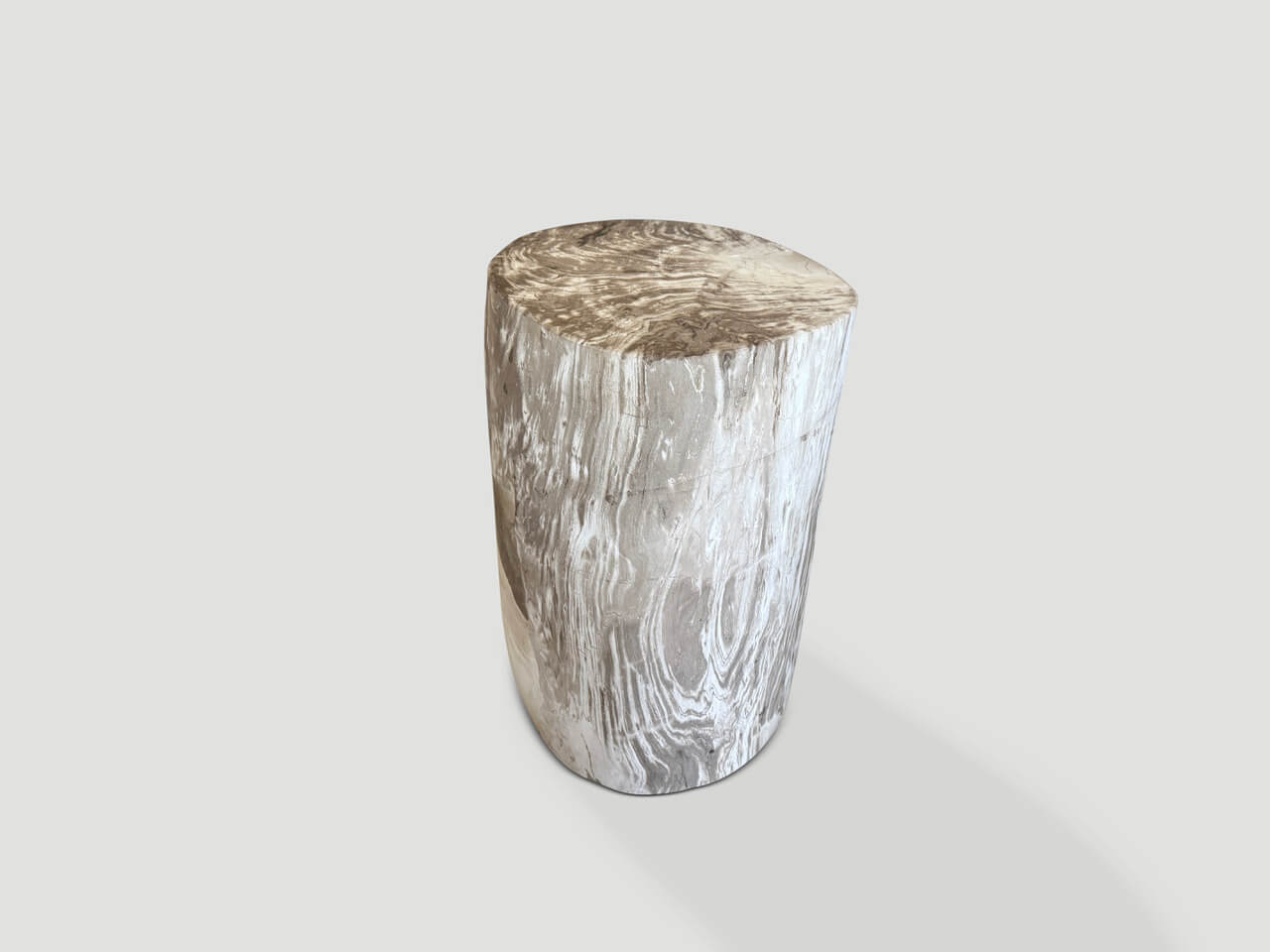 ANCIENT PETRIFIED WOOD SIDE TABLE