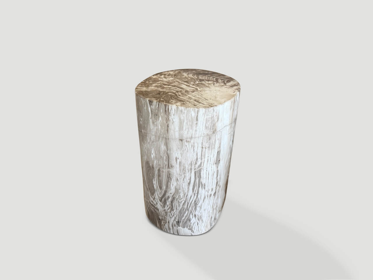 ANCIENT PETRIFIED WOOD SIDE TABLE