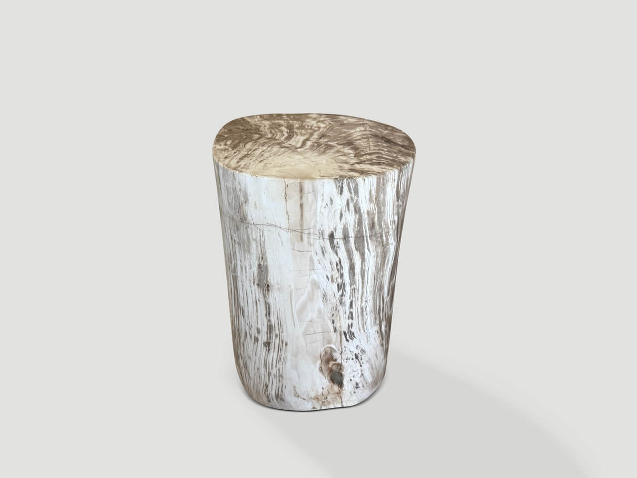 Ancient Petrified Wood Side Table