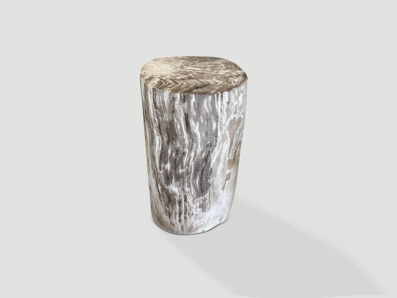 ANCIENT PETRIFIED WOOD SIDE TABLE