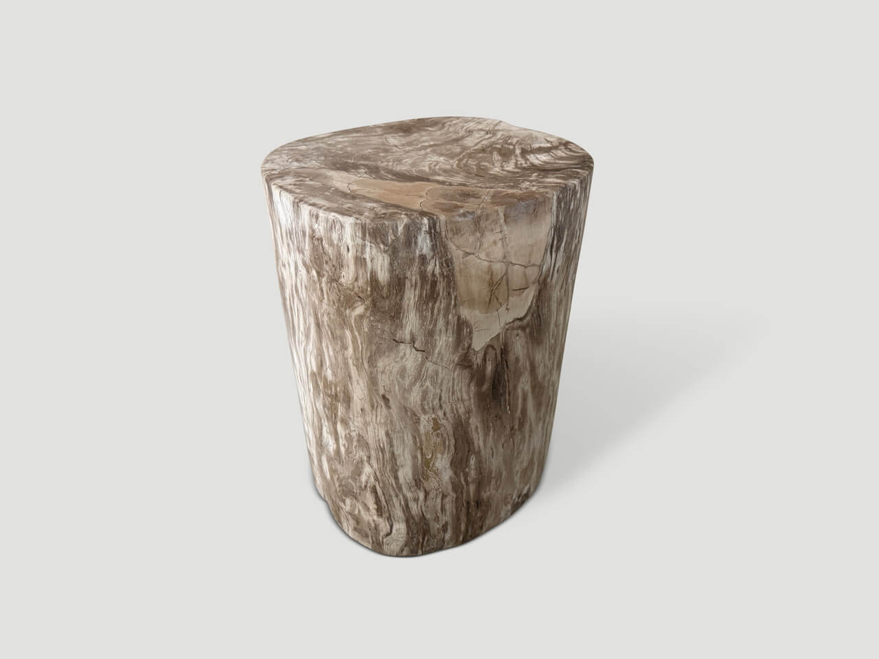 ANCIENT PETRIFIED WOOD SIDE TABLE
