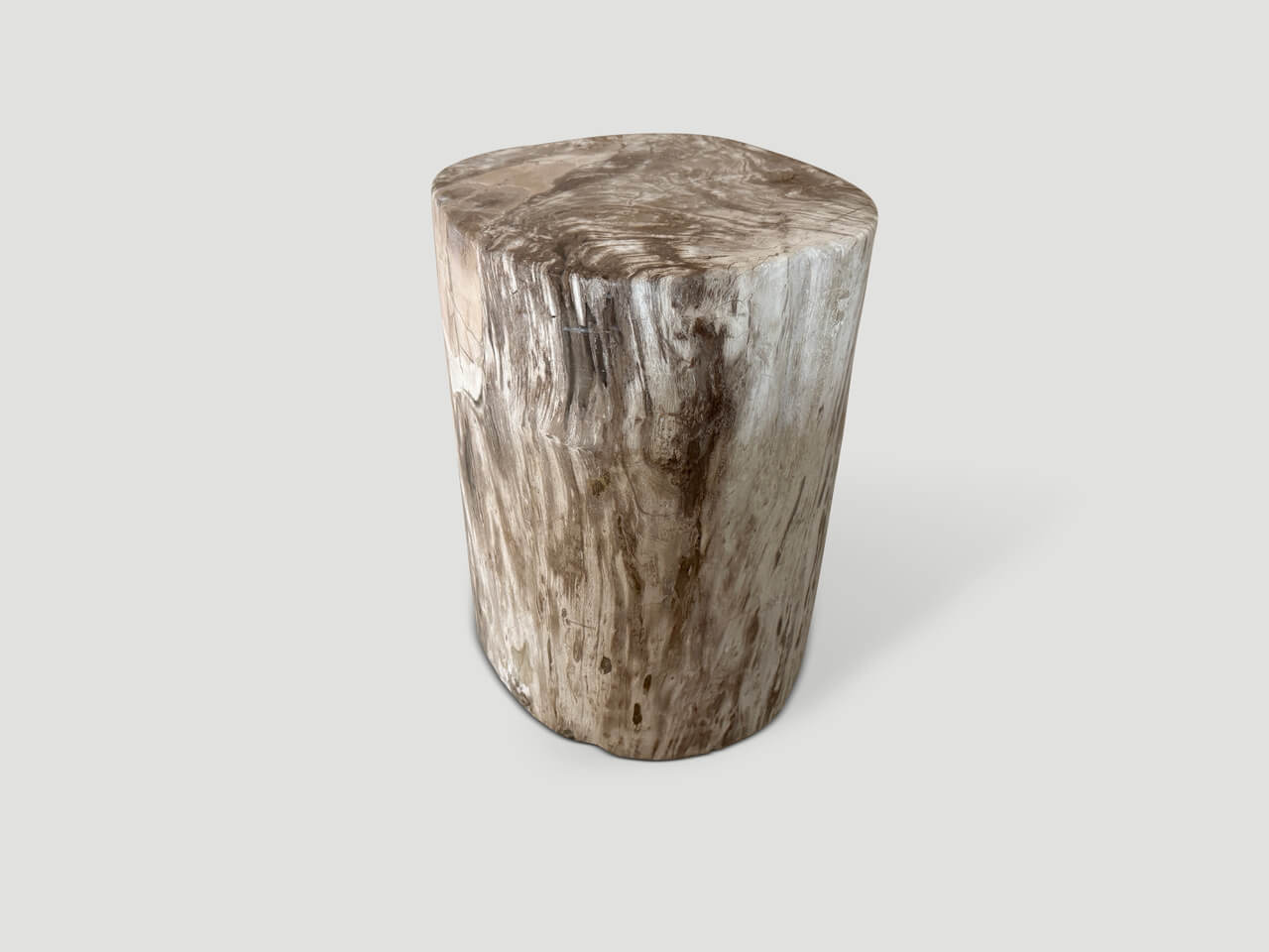 ANCIENT PETRIFIED WOOD SIDE TABLE