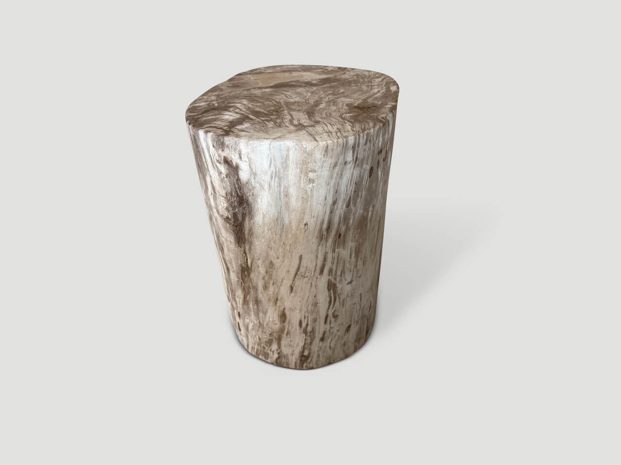 ANCIENT PETRIFIED WOOD SIDE TABLE