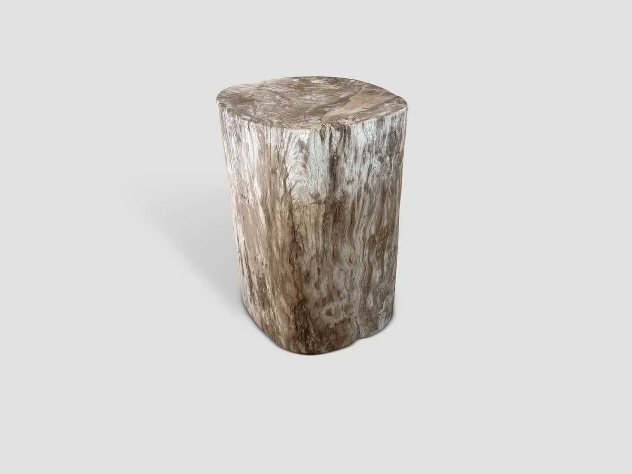 ANCIENT PETRIFIED WOOD SIDE TABLE