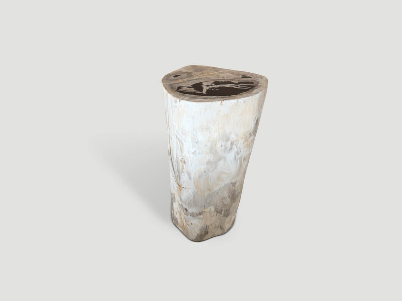MODERN ORGANIC MINIMALIST PETRIFIED WOOD SIDE TABLE