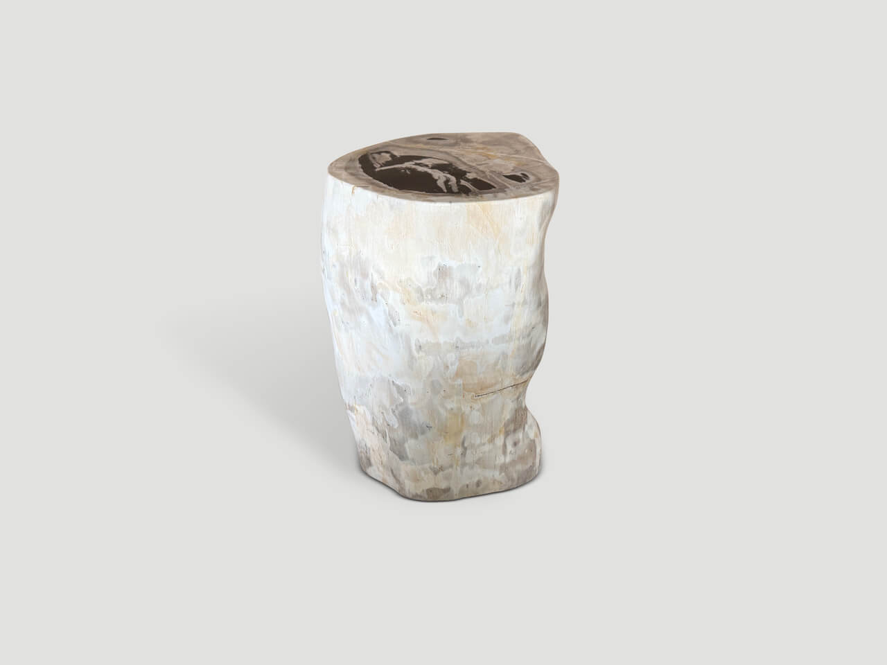 MODERN ORGANIC MINIMALIST PETRIFIED WOOD SIDE TABLE