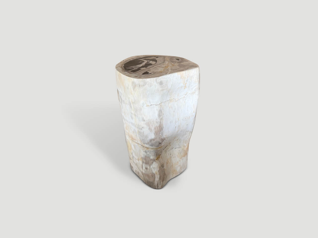MODERN ORGANIC MINIMALIST PETRIFIED WOOD SIDE TABLE