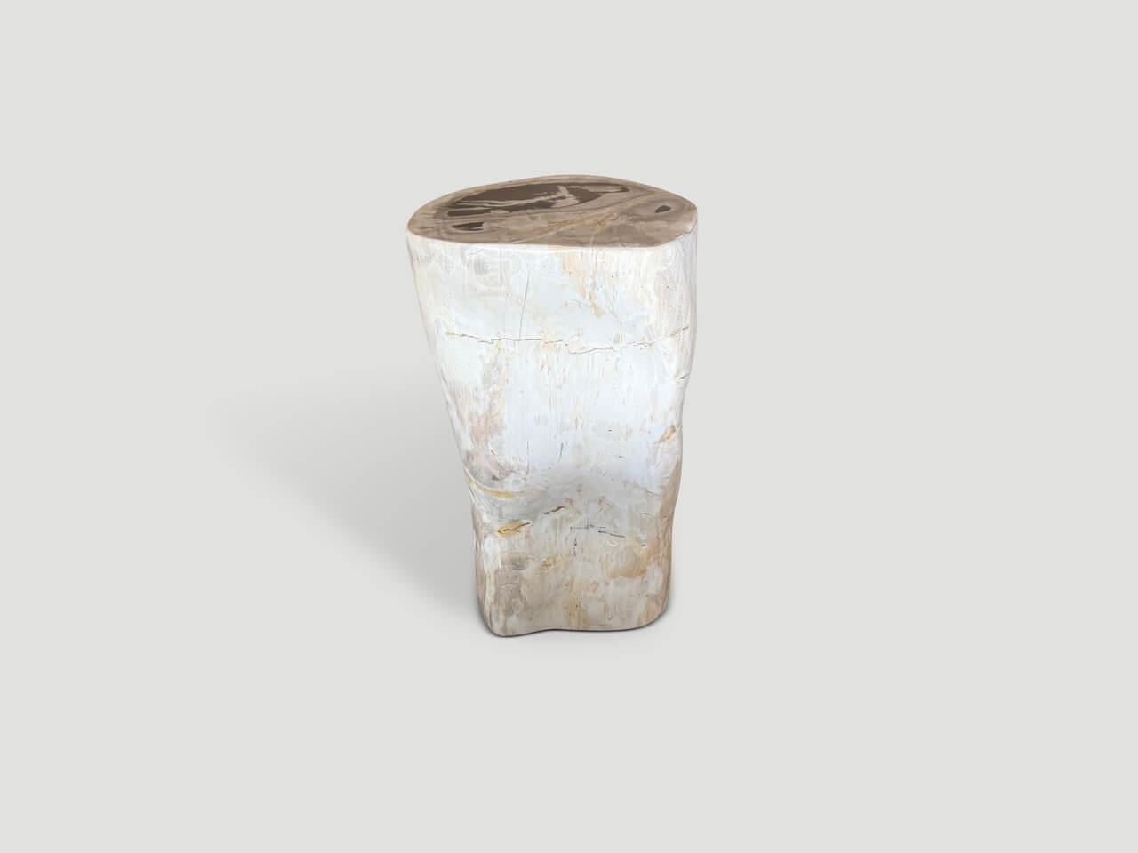 MODERN ORGANIC MINIMALIST PETRIFIED WOOD SIDE TABLE