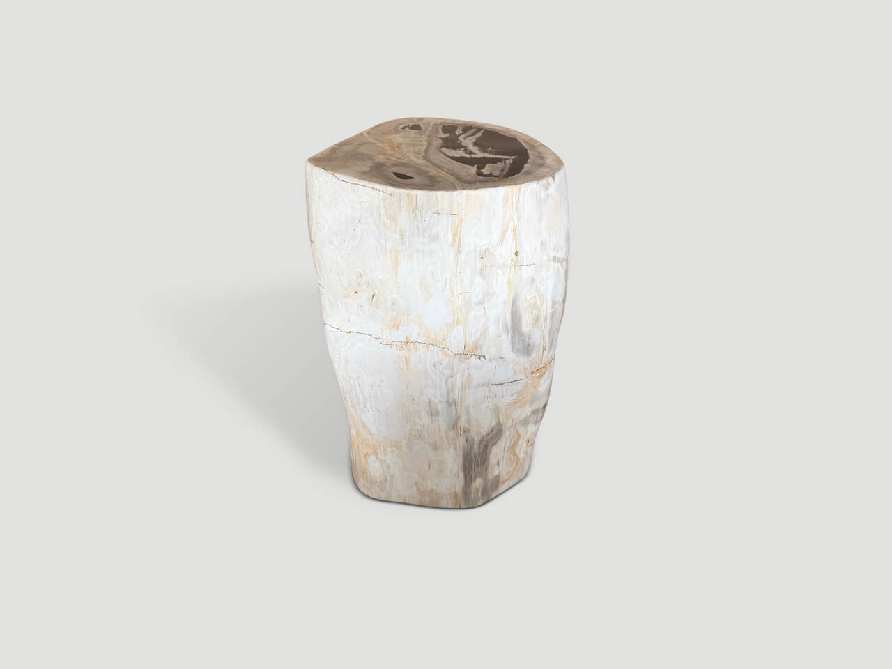 MODERN ORGANIC MINIMALIST PETRIFIED WOOD SIDE TABLE