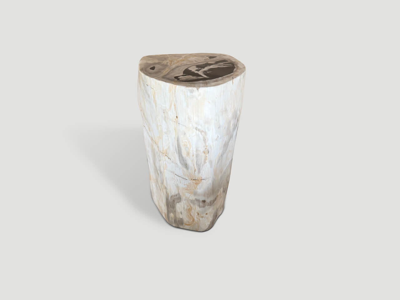 MODERN ORGANIC MINIMALIST PETRIFIED WOOD SIDE TABLE