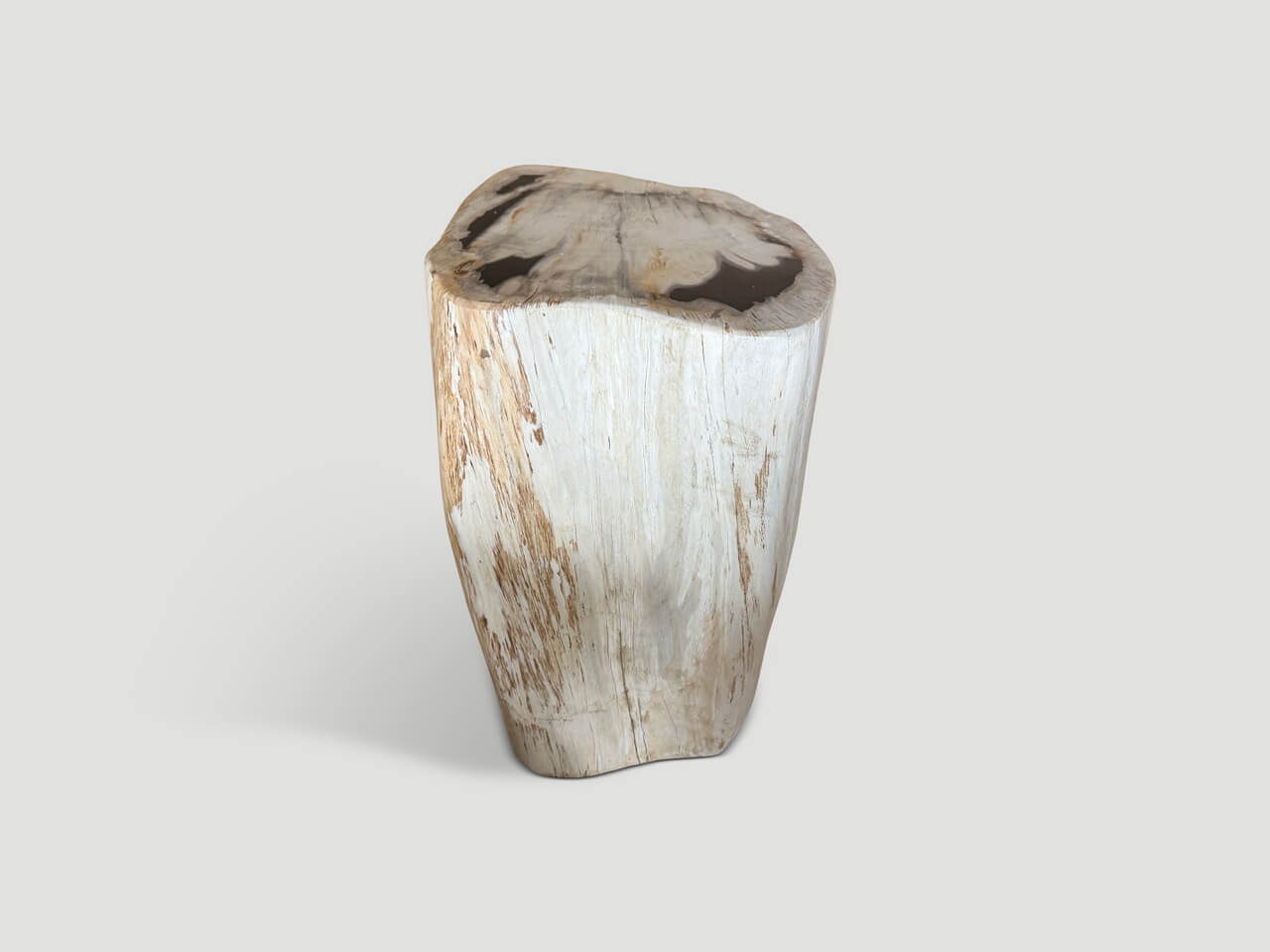 MODERN ORGANIC MINIMALIST PETRIFIED WOOD SIDE TABLE