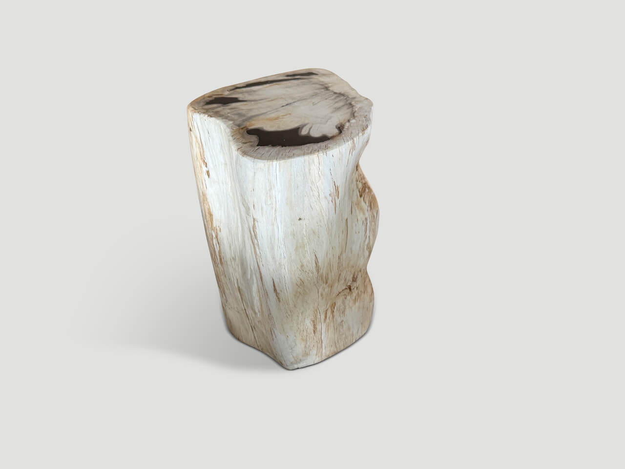 MODERN ORGANIC MINIMALIST PETRIFIED WOOD SIDE TABLE